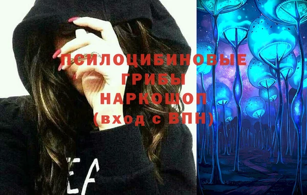 прущие крисы Лабытнанги