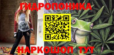стаф Чапаевск